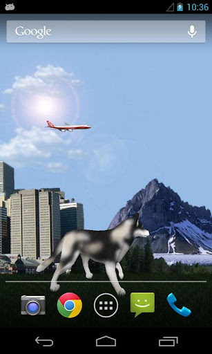 Dog Husky Traveling 3D LWP