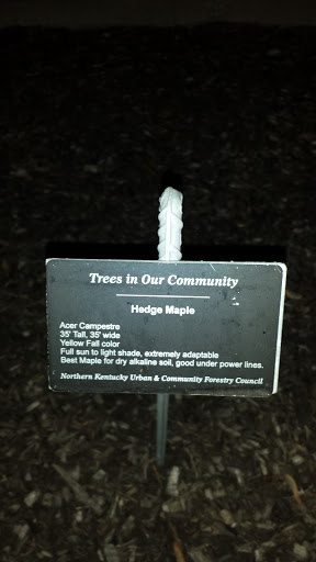 Trees In Our Community Plaque