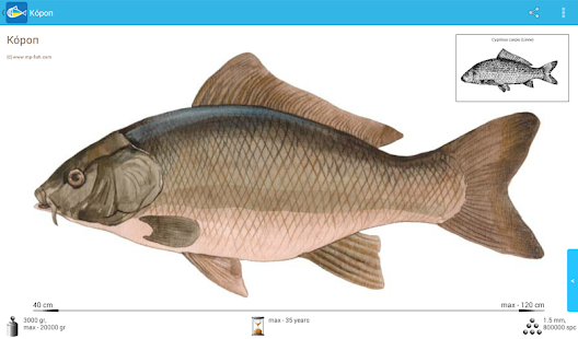 Риби України Screenshots 3