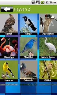 How to download Animal Sound 1.0.8 unlimited apk for android