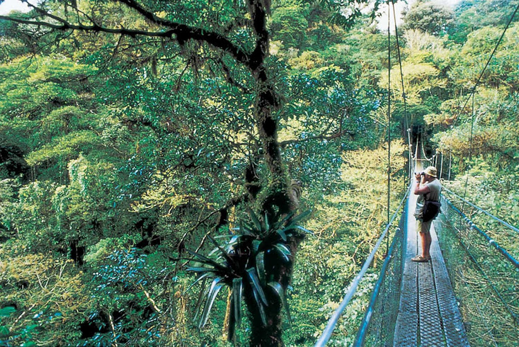 Take a trip to Costa Rica on a Windstar Cruises sailing and get up-close shots of its tropical rainforests. 