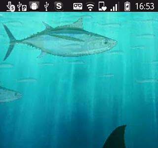 √ シャチ 壁紙 無料 327447-シャチ 壁紙 無料