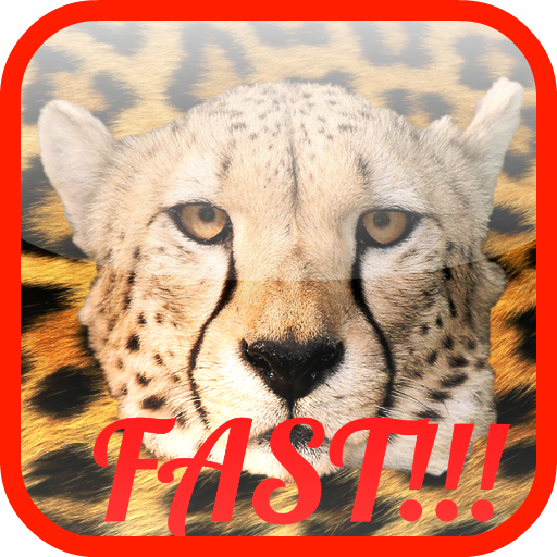 Fast Animals Racing LOGO-APP點子