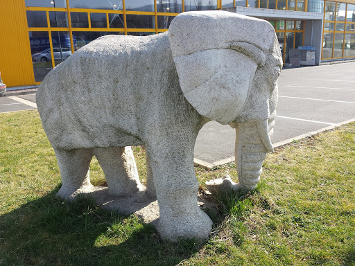 Skulptur Elefant am Fliesen Zentrum