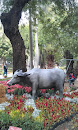 台南公園水牛