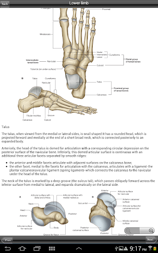 【免費醫療App】Gray's Upper and Lower Limb-APP點子