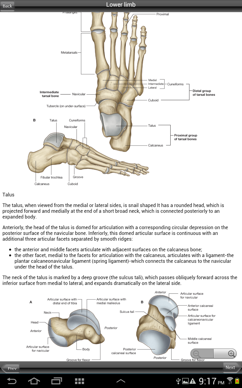 Grays Upper and Lower Limb Screen 3