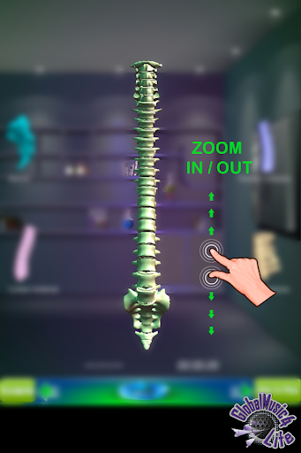 【免費教育App】GM4L Spinal Column Game-APP點子