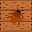 Aplasta La Cucaracha Download on Windows