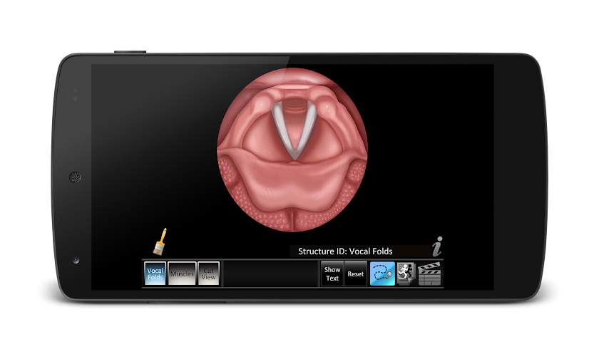 Vocal Folds ID Screen 1