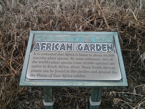African Garden
