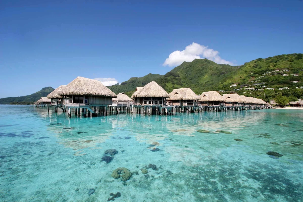 Sofitel-Ia-Ora-Beach-Moorea - Overwater bungalows line the reef and beach at Sofitel Ia Ora on Mo'orea.