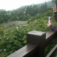 鍾鼎山林 雲海景觀咖啡廳・老薑蒸足浴