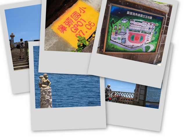 collage2