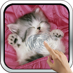 Cover Image of Unduh Wallpaper Kucing Tidur 3D 6.0 APK