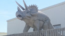 Triceratops Statue