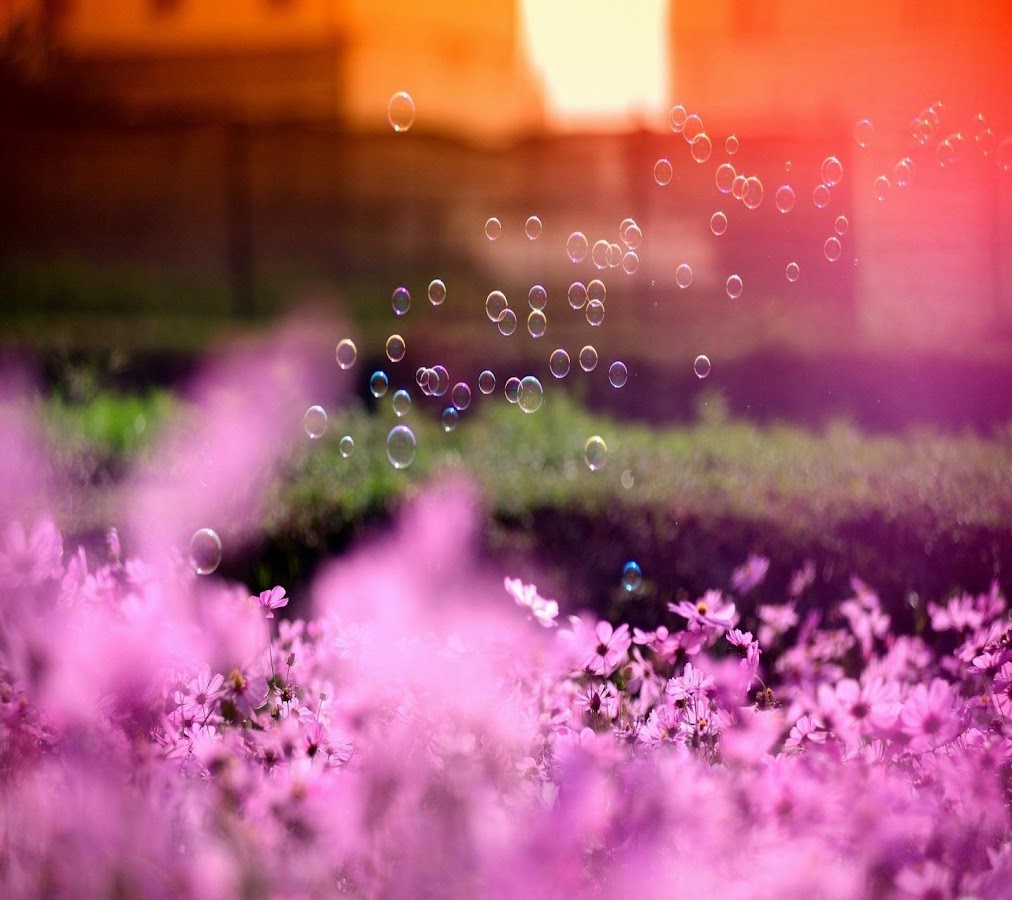 Wallpapers Tab S2 S3 Apl Android Di Google Play