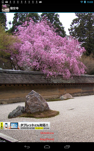 京都 世界遺産 龍安寺 JP045