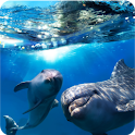 Magic Effect Dolphins LWP logo