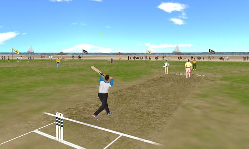 Beach Cricket Screen 2