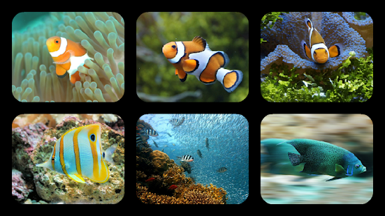 Fish Jigsaw Puzzles Screenshots 0