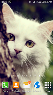 How to mod Innocent Cat Live Wallpaper 1.0 unlimited apk for pc