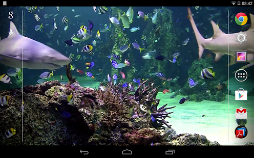 Download Aquarium live wallpaper APK