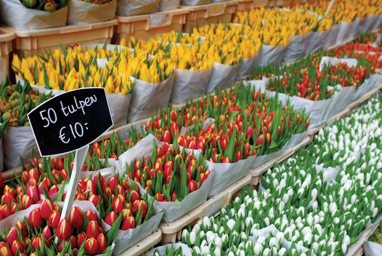 50 tulips for 10 euros: At a flower market in Amsterdam, the Netherlands.