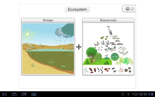 Free Pond ecosystem APK for Android