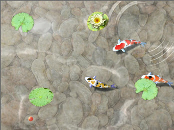 Feed the Koi fish Kids Game poster 6
