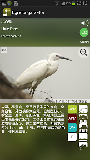 【免費書籍App】HKcBirds: 香港常見鳥類-APP點子