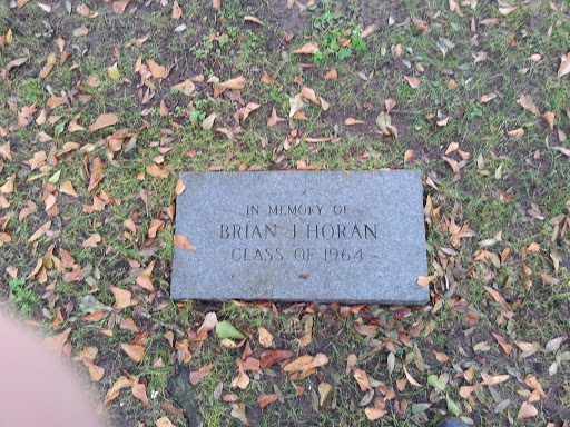 In Memory of Brian J. Horan