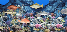 Abubu ocean live wallpaper key APK