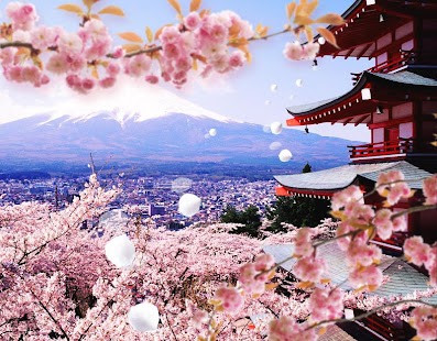 Fuji and Sakura LiveWallpaper