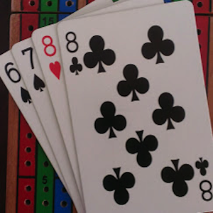 Casual Cribbage logo