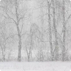 Gentle Snowfall Live Wallpaper.apk 1.0