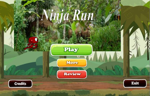 Ninja Run