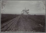 Pad en spoor langs suikerriet