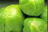 Brussel Sprout Masala