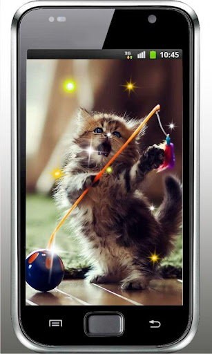 Lovely Kittens live wallpaper