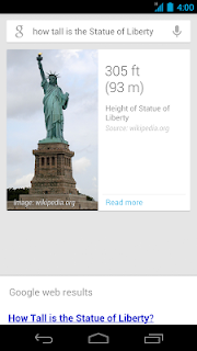 Google Search screenshot