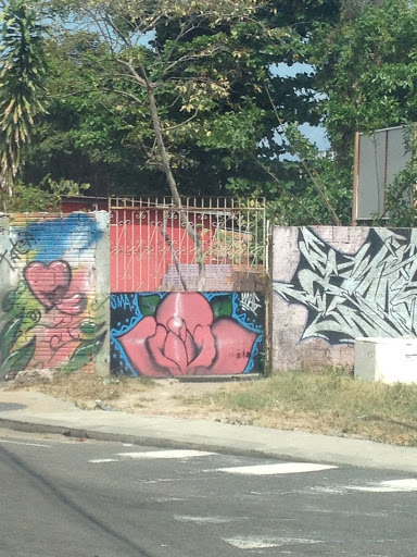 Grafites Rosas No Portão