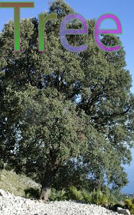 Common Word Endings 2 FREE - náhled