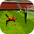Soccer 3D Game 20151.0
