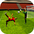 Soccer 3D Game 20151.0