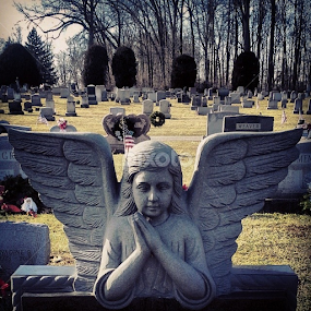 Mellow Maryland angel grave marker by Dianne Collins - City,  Street & Park Cemeteries