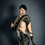 To Shed by Nigel Hawkins -  