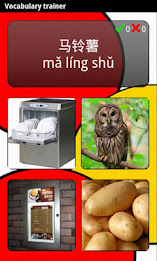 Learn Chinese Deluxe poster 1