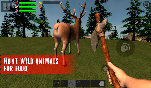 The Survivor: Rusty Forest - screenshot thumbnail