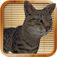 Kitty Cat Simulator APK